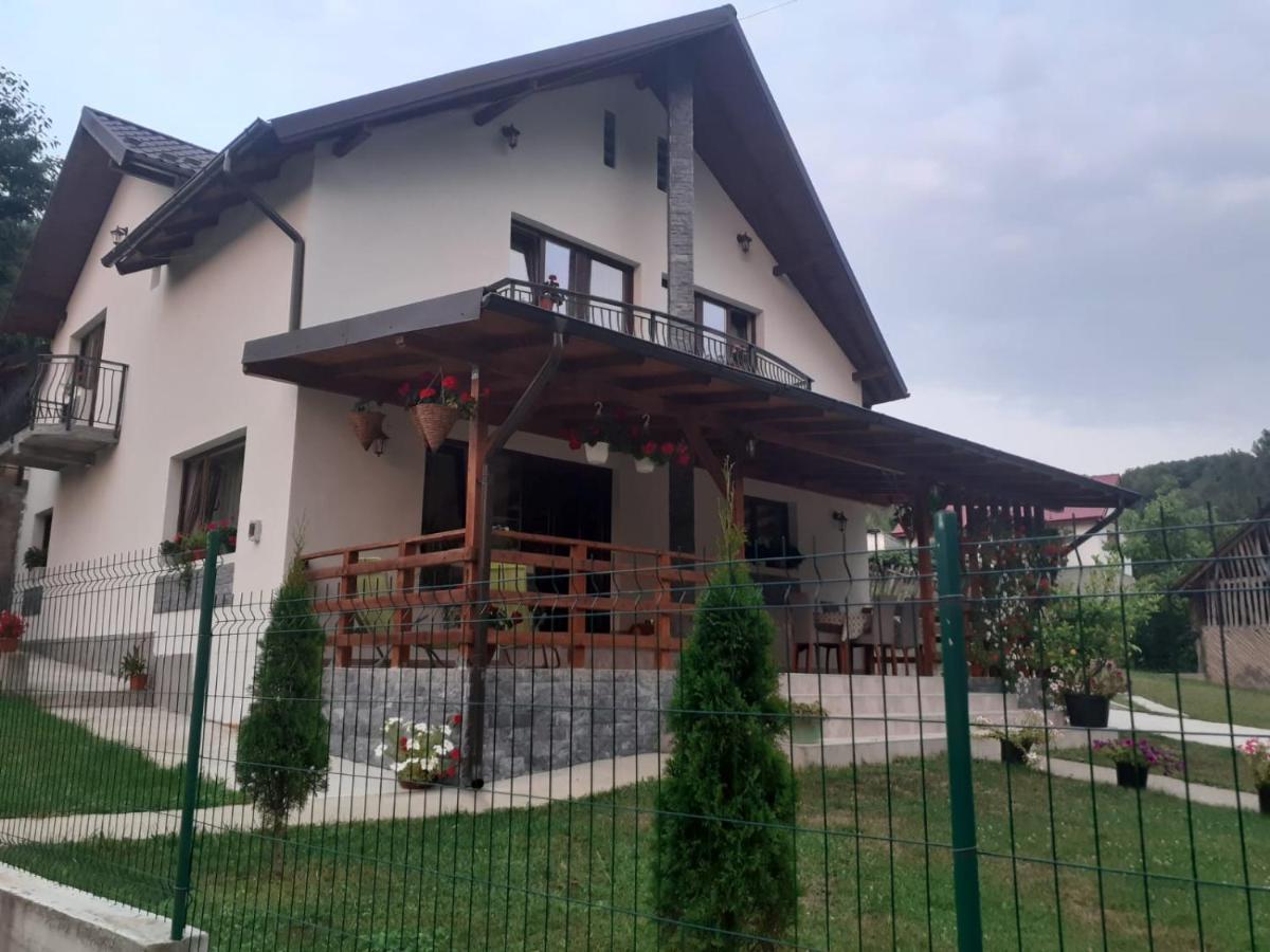 Casa Alex Hotel Curtea de Argeş Exterior foto